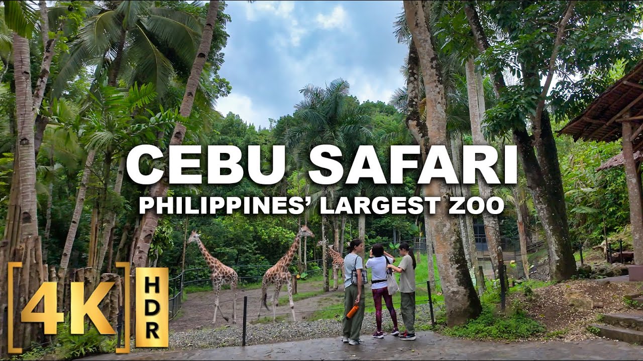 Embark on an immersive walking tour of Cebu Safari and Adventure Park.