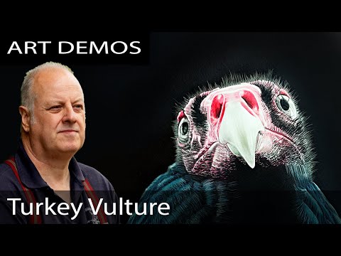 How to paint a Turkey Vulture