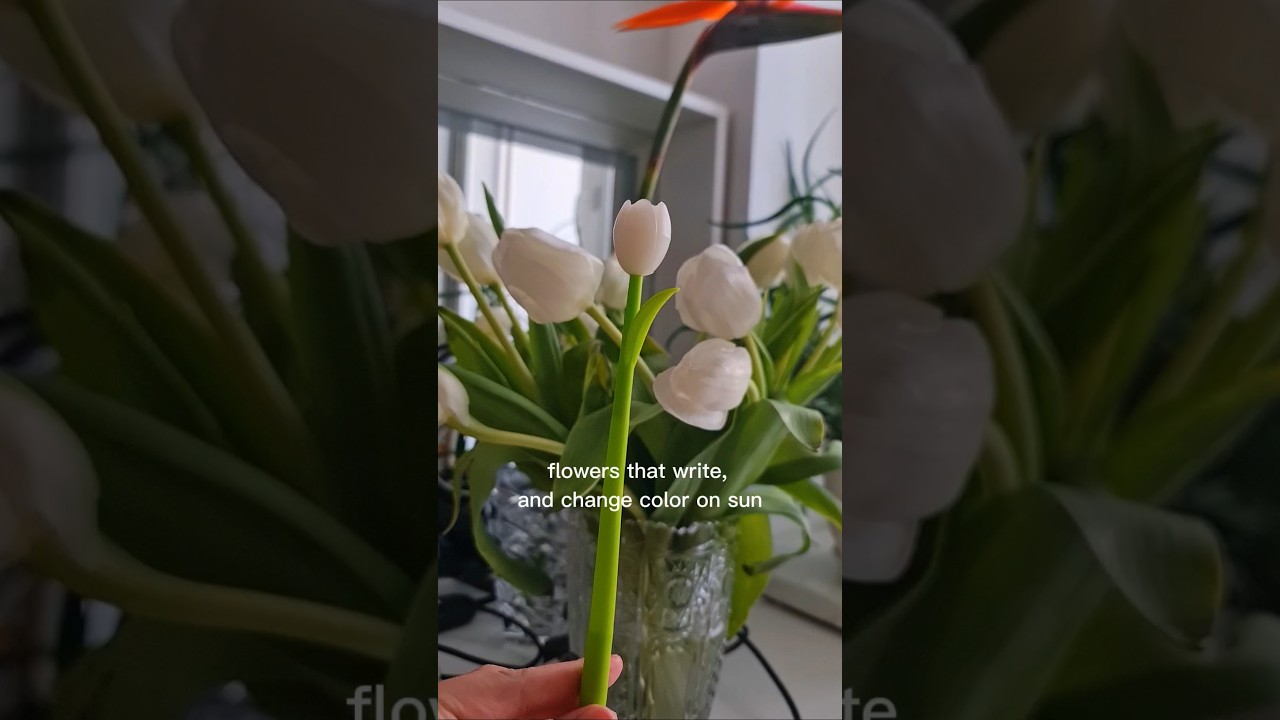 flower pen changes color on sun 🌞 NikiMoran haul #aliexpress unpacking extraordinary #flowers review