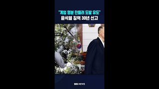 "계엄 명분 만들려"..윤석열 징역 30년 #shorts