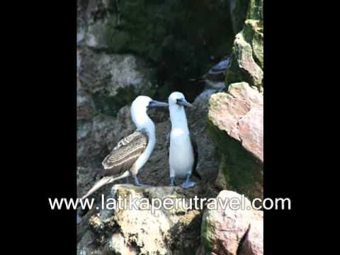 peru travel - latika adventures