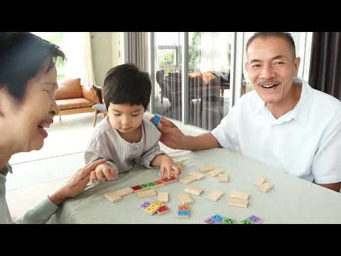 Slide 8 - Mood Dominoes (video)