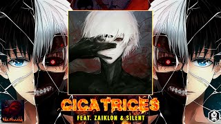 Cicatrices Music Video
