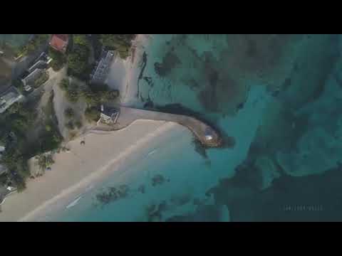 Jamaica's National Pledge 🇯🇲🙏