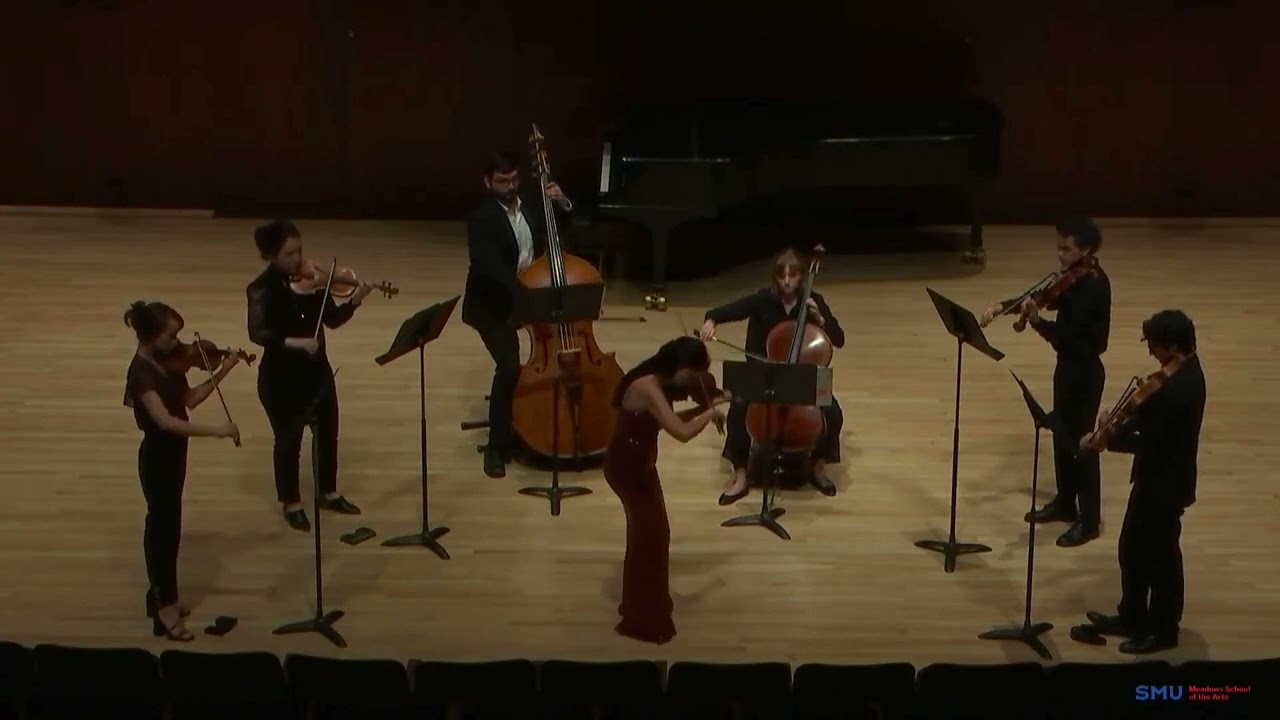 Promotional video thumbnail 1 for Violinist, Alfiia M