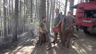 Продължават да тлеят огнища край чепеларското село Хвойна