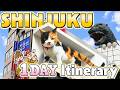 Things To Do In Shinjuku Tokyo 1 Day Travel Itinerary For Shinjuku Tokyo Japan Travel Itinerary