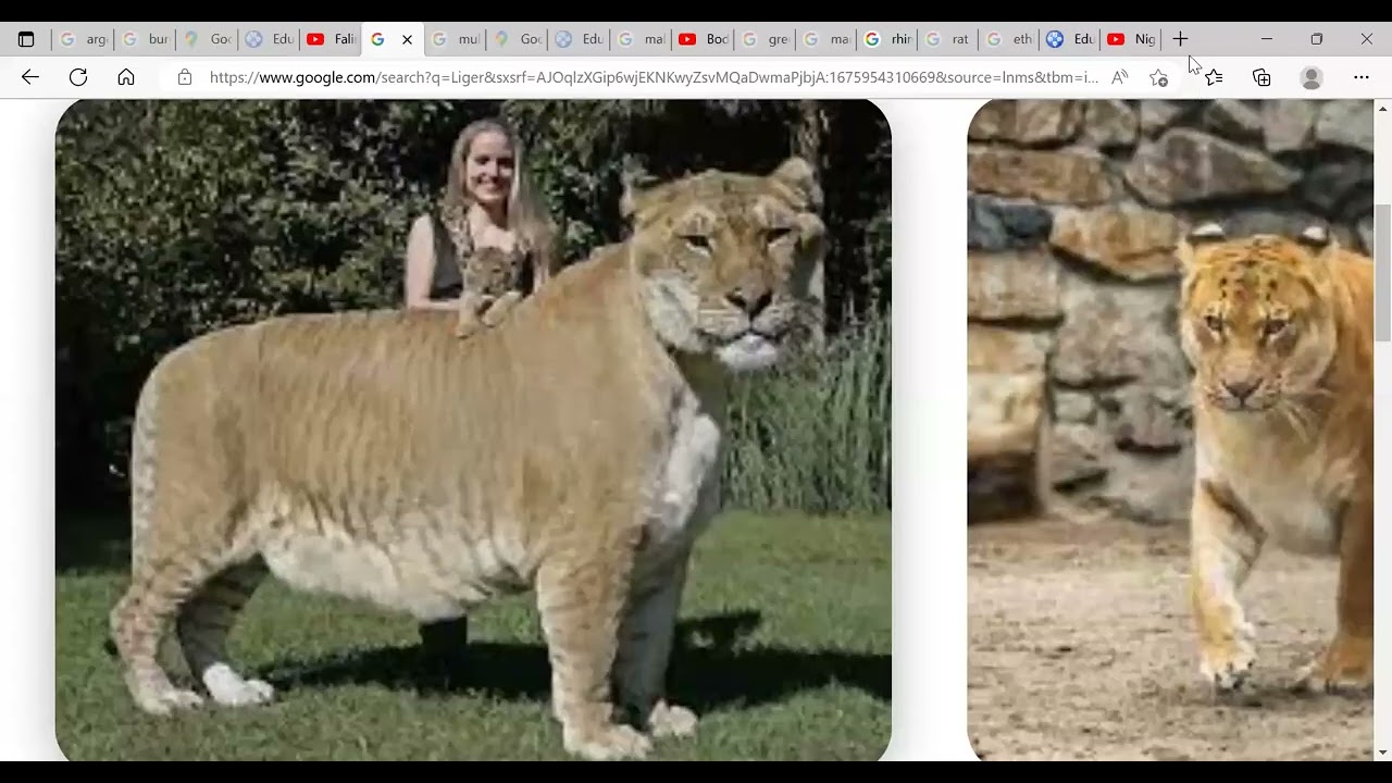 AP Biology Unit 7 - Lesson 71: Population Genetics, 5 Factors That Drive Evolution