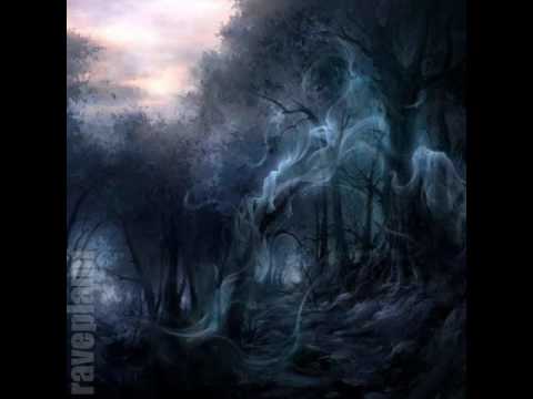 Psytrance Haemaerae x Deidriim Goes B2B