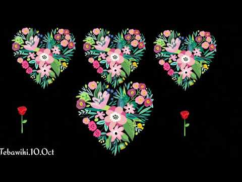 Kyusho waza feat Rebecca lallawmsangi (Cover) thu leh hla tha, ,