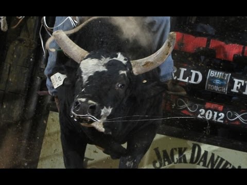 WRECK: PBR's Renato Nunes takes a shot to the face