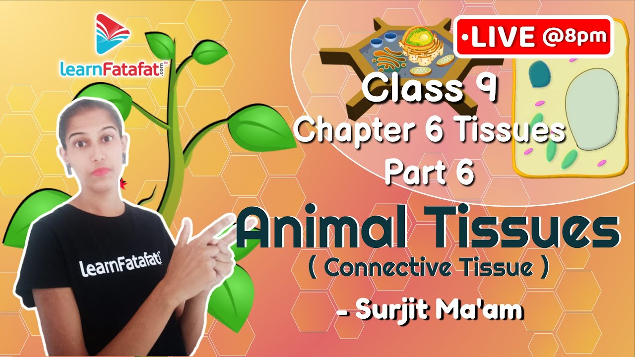Class 9 Tissues Part 6: Animal Tissues (Connective Tissues) - Surjit