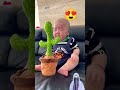 Viral Videos Trending TikTok WhatsApp Status Comedy Funny Video Short Funnyvideos
