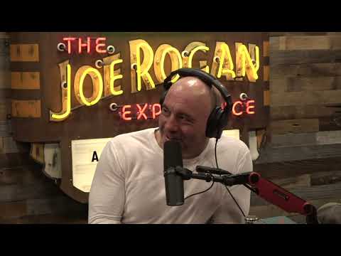 Joe Rogan Experience #1743 - Stephen Pinker
