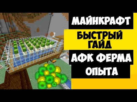 ФЕРМА ОПЫТА МАЙНКРАФТ / АФК ФЕРМА ОПЫТА