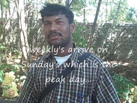 Livelihoods- distributing magazines