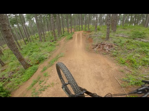 This trail is called 'The Gift' for a reason! \\ Carpenter Bypass MTB