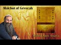 Malchut of Gevurah | Counting the Omer - Rabbi Alon Anava