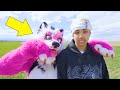 Surviving 24 Hours With A Furry