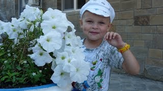 preview picture of video 'Витязево. Июль 2014 отдых с детьми и для детей'