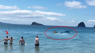 They find Mermaid In Ocean.. The Ending Will Shock You...