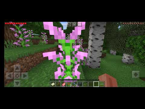 hala walla  like and folw