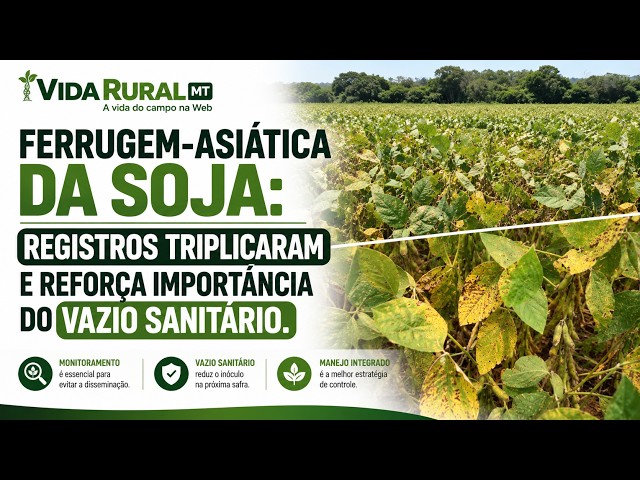 REGISTROS TRIPLICARAM E REFORÇA IMPORTÂNCIA DO VAZIO SANITÁRIO