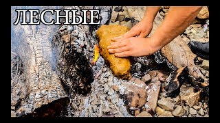 Дикая кухня - РЫБА В ГЛИНЕ | Steamed Fish In Clay
