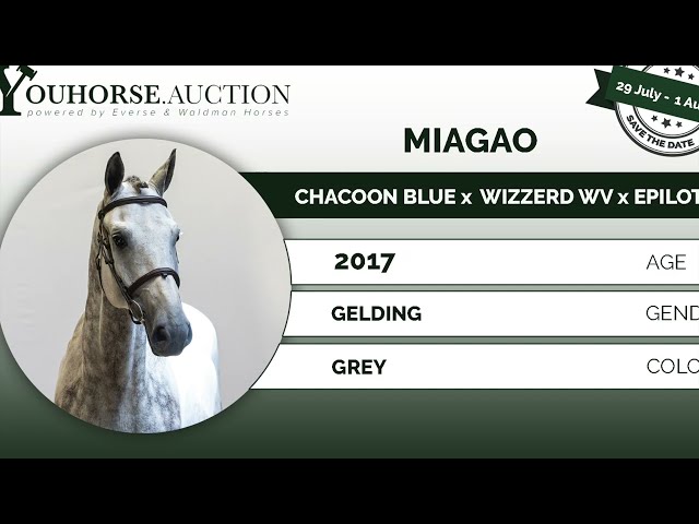 Miagao @ show
