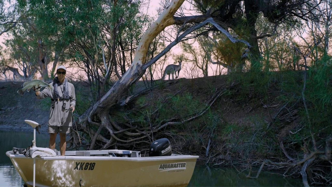 Colby Lesko's Western River Recon Lays Bare January's Murray Cod Problem
