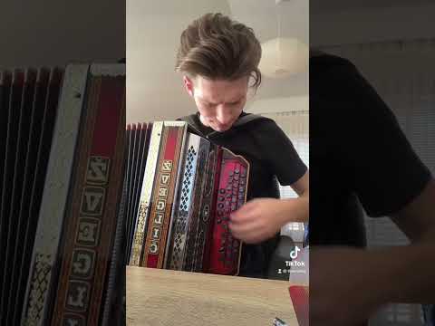 How to play the accordion (for beginners) #funny #foryou #explore #howtoplay #accordion
