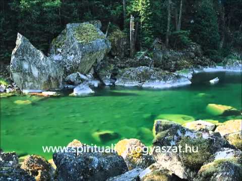 tisztitsa meg a bélek a parazitáktol