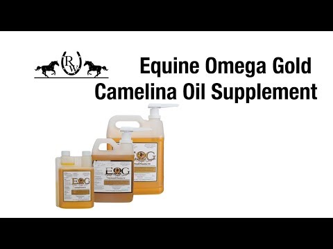 YouTube video about: Where to buy camelina oil for horses?