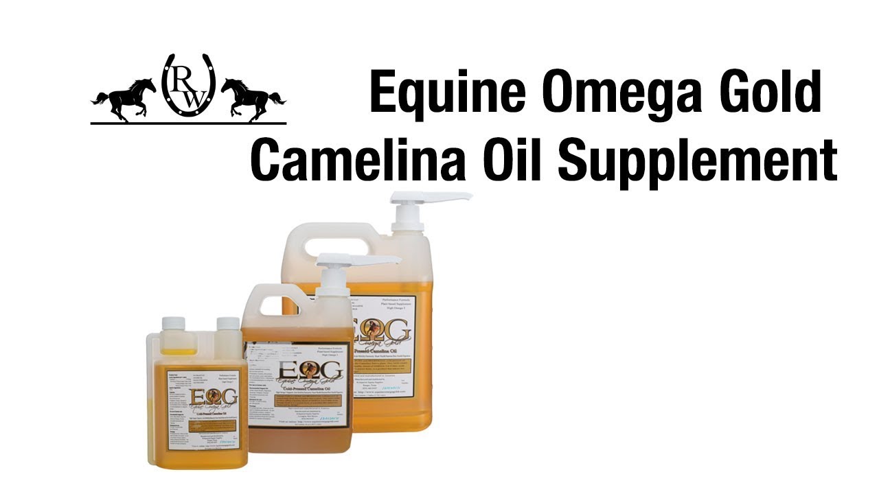 Equine Omega Gold Camelina Oil Supplement