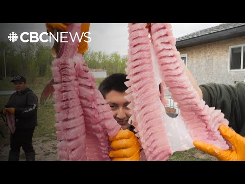 Clearwater River Dene students learn language and cultural skills on the land