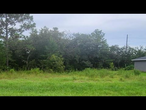 000 SW 153 PL Rd, Ocala, FL Presented by Reinaldo Milian.
