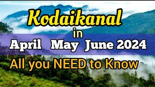 Kodaikanal All you NEED to Know | Best Sightseeing places | Budget Transport Timings Travel