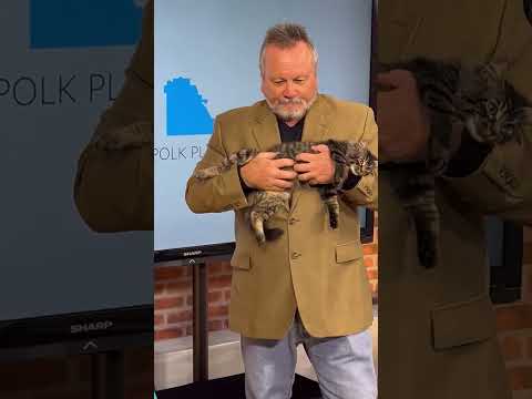 PGTV Behind The Scenes Ep 78