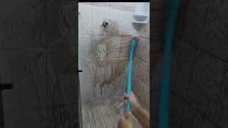 Faxina Pesada no banheiro mais sujo do planeta  #cleaningasmr #deepcleaning #rotinadelimpeza #faxina
