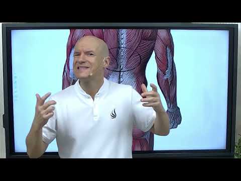 Causes, diagnosis and integrative treatment of pyramidalis syndrome