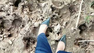 Mud hole with my black heels