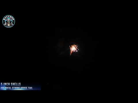 Raccoon Fireworks 1.3G JY5 0373 5 inch Shell Colorful Strobe Horse Tail