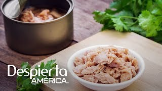 ¿Qué tan saludable es comer atún varias veces por semana?