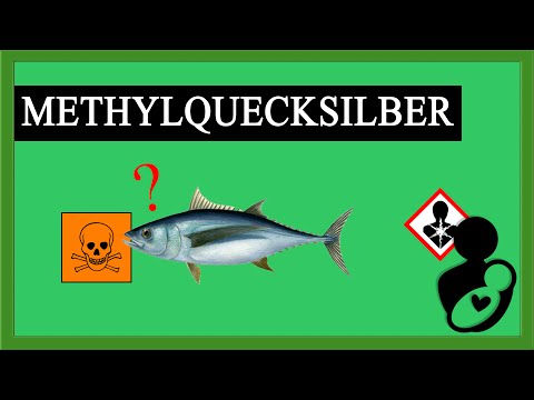 Fisch ungesund?! - Kritische Studie: Vermehrt Quecksilber im Meerwasser! - Nie mehr Thunfisch essen?