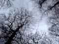 Mark Lanegan- Out Of Nowhere