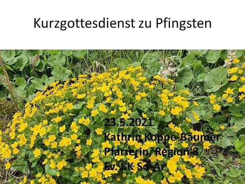 Kurzgottesdienst zu Pfingsten 2021 mit Kathrin Koppe-Bäumer