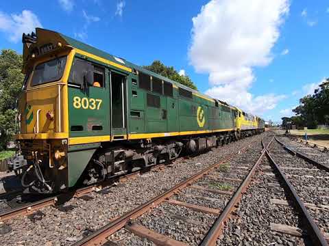 8037, 44202 & 8044 at Narromine NSW.  Wed 24th Mar 2021