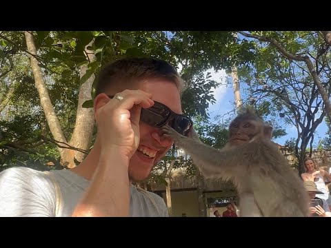 HILARIOUS Animals Being JERKS! 🫣 🤣 | 20 Minutes of Funny Pets