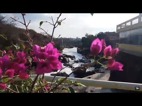 TJ UFSC 16/08/18 - Vem com o TJ: Memorial Rio Tietê