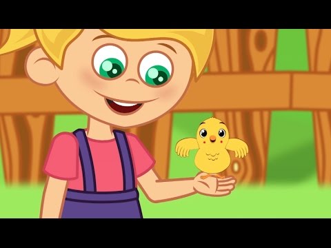 Pintinho Amarelinho  + 1 hora de Musica Infantil com os Amiguinhos